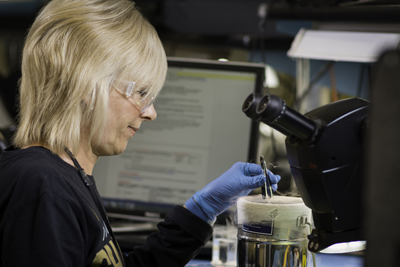 Featured image for How to Choose the Right Manufacturer of Temperature Sensors